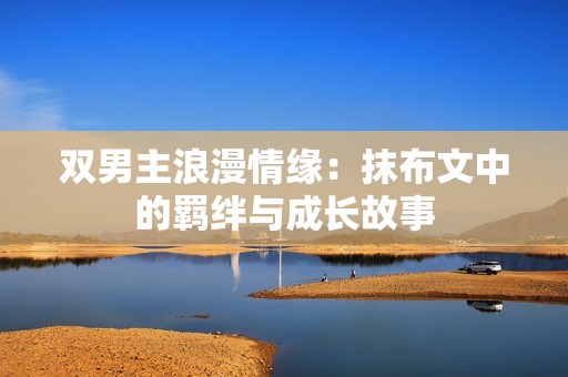 双男主浪漫情缘：抹布文中的羁绊与成长故事
