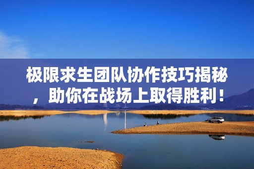 极限求生团队协作技巧揭秘，助你在战场上取得胜利！