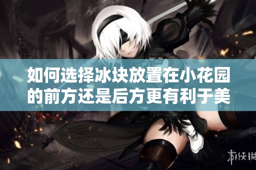 如何选择冰块放置在小花园的前方还是后方更有利于美观与实用
