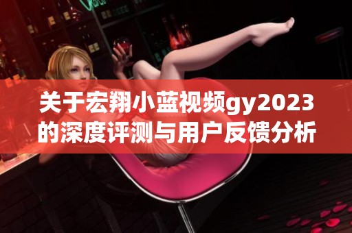 关于宏翔小蓝视频gy2023的深度评测与用户反馈分析