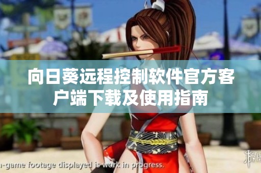 向日葵远程控制软件官方客户端下载及使用指南