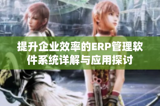 提升企业效率的ERP管理软件系统详解与应用探讨