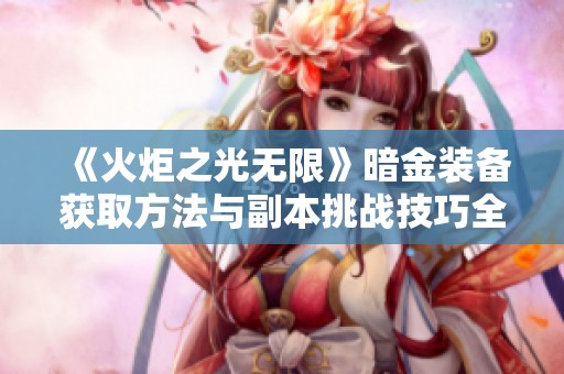 《火炬之光无限》暗金装备获取方法与副本挑战技巧全面解析