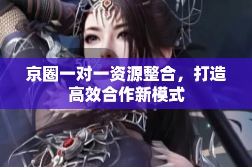 京圈一对一资源整合，打造高效合作新模式