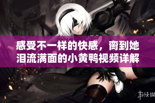 感受不一样的快感，脔到她泪流满面的小黄鸭视频详解