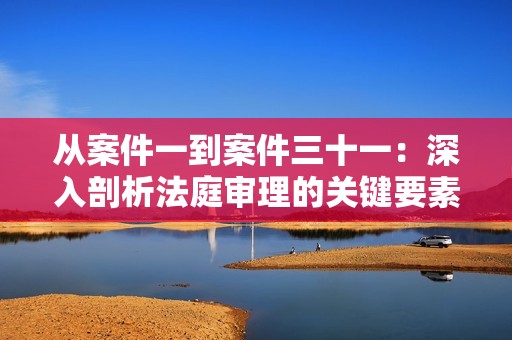 从案件一到案件三十一：深入剖析法庭审理的关键要素与影响