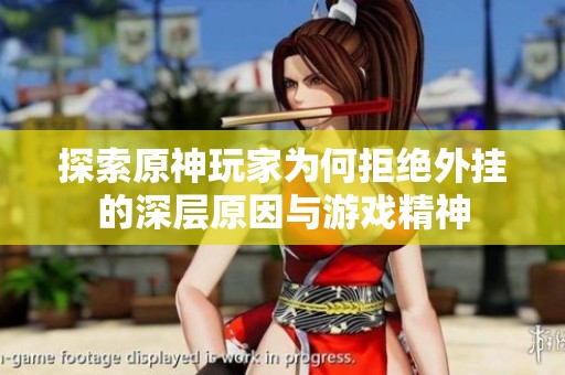 探索原神玩家为何拒绝外挂的深层原因与游戏精神