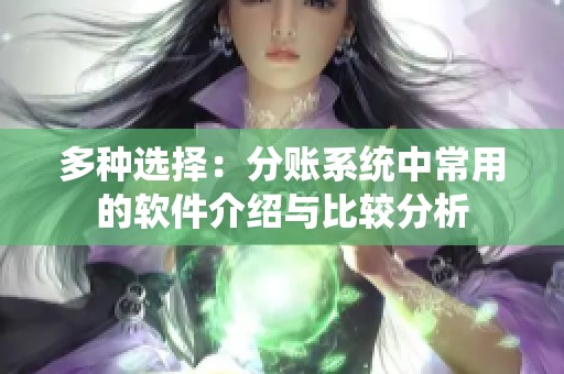 多种选择：分账系统中常用的软件介绍与比较分析