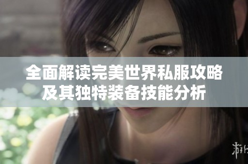 全面解读完美世界私服攻略及其独特装备技能分析