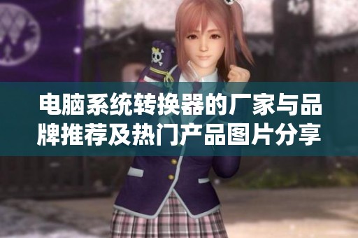 电脑系统转换器的厂家与品牌推荐及热门产品图片分享